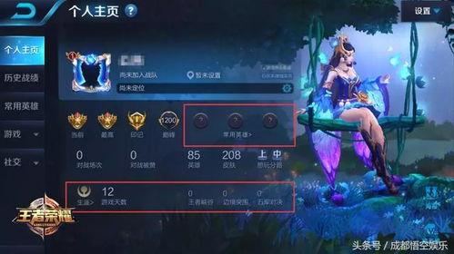 王者加强最新爆料英雄,新英雄崛起，神秘加强爆料引玩家热议