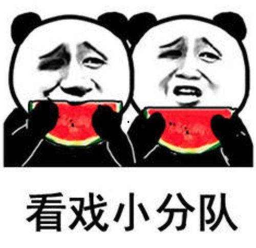 吃娱乐圈瓜表情包,吃瓜表情包盘点 第1张 吃娱乐圈瓜表情包,吃瓜表情包盘点 第1张